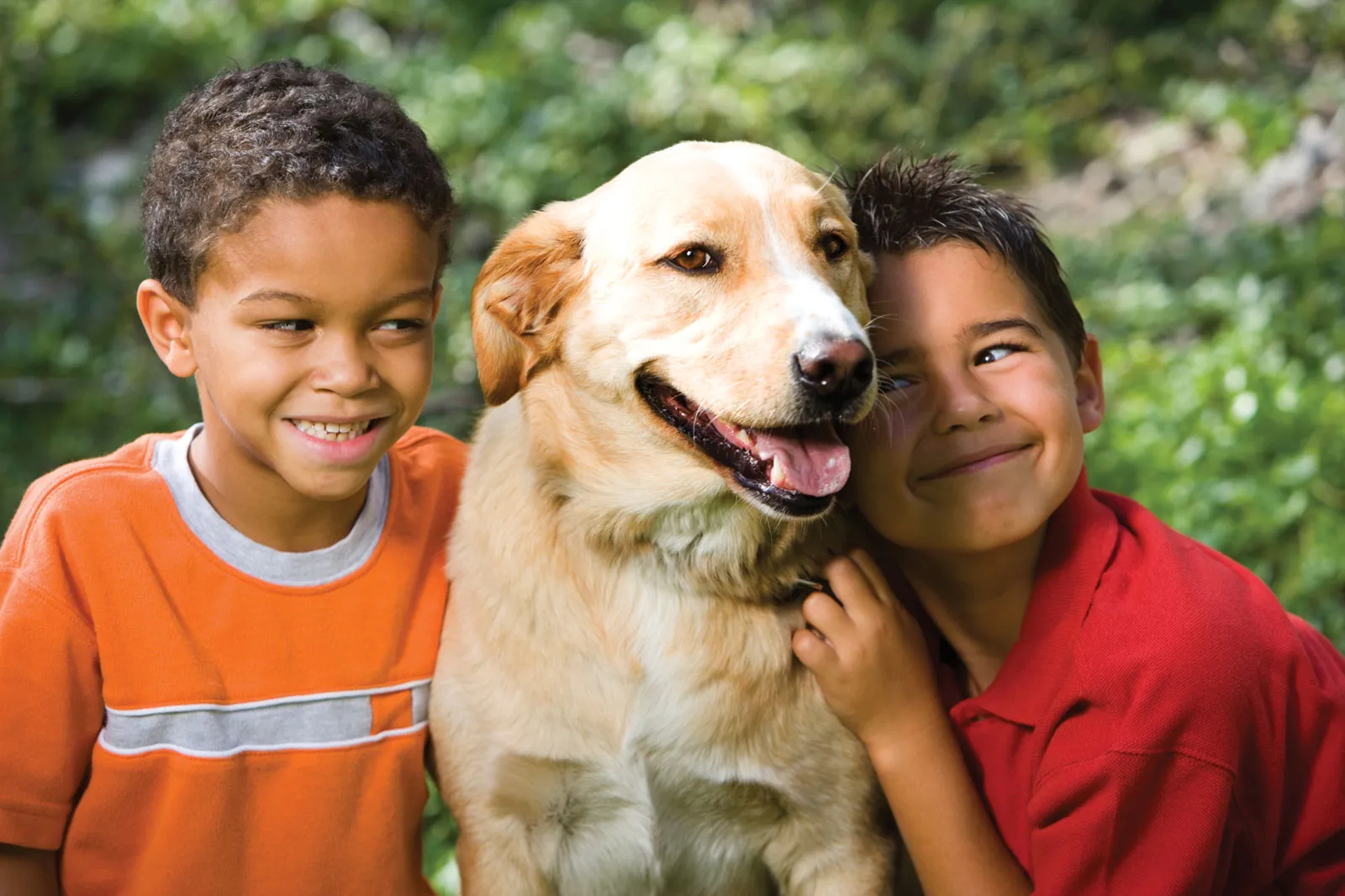 A Vision of Simple Joy: Children, the Outdoors, and a Devoted Dog